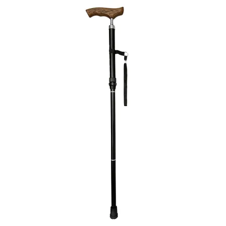 Easwe Foldable Cane 1
